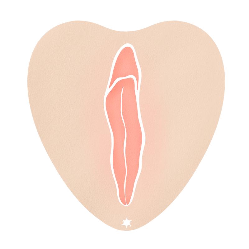 Ansicht einer Vulva in heller Hautfarbe und rötlichen Vulvalippen, die geschlossen sind
