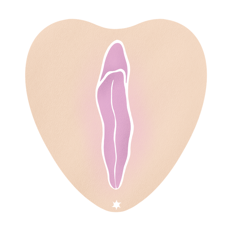 Ansicht einer Vulva in heller Hautfarbe und bläulichen Vulvalippen, die geschlossen sind