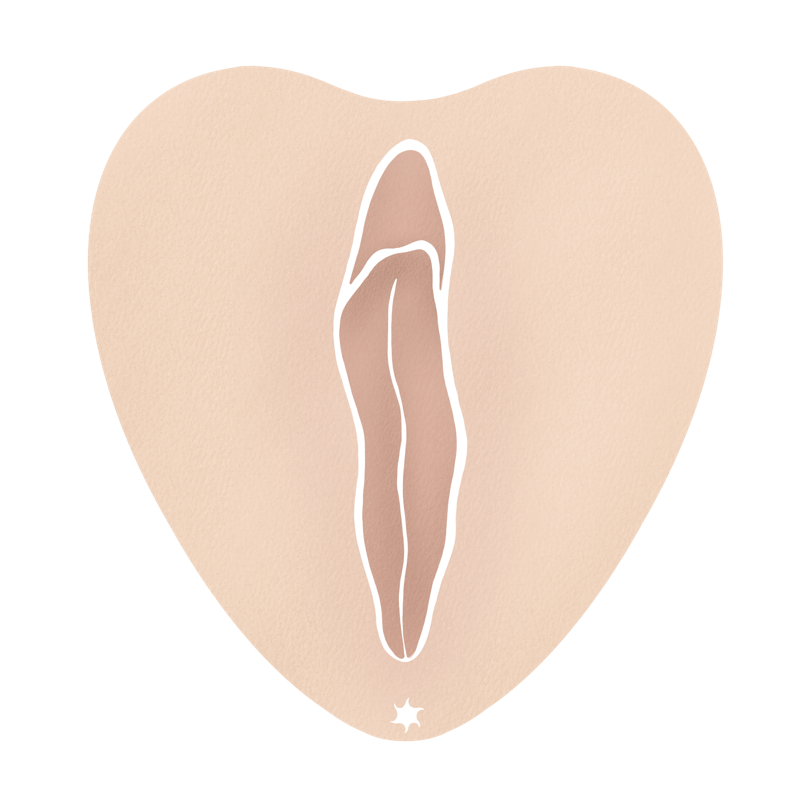 Ansicht einer Vulva in heller Hautfarbe und bräunlichen Vulvalippen, die geschlossen sind