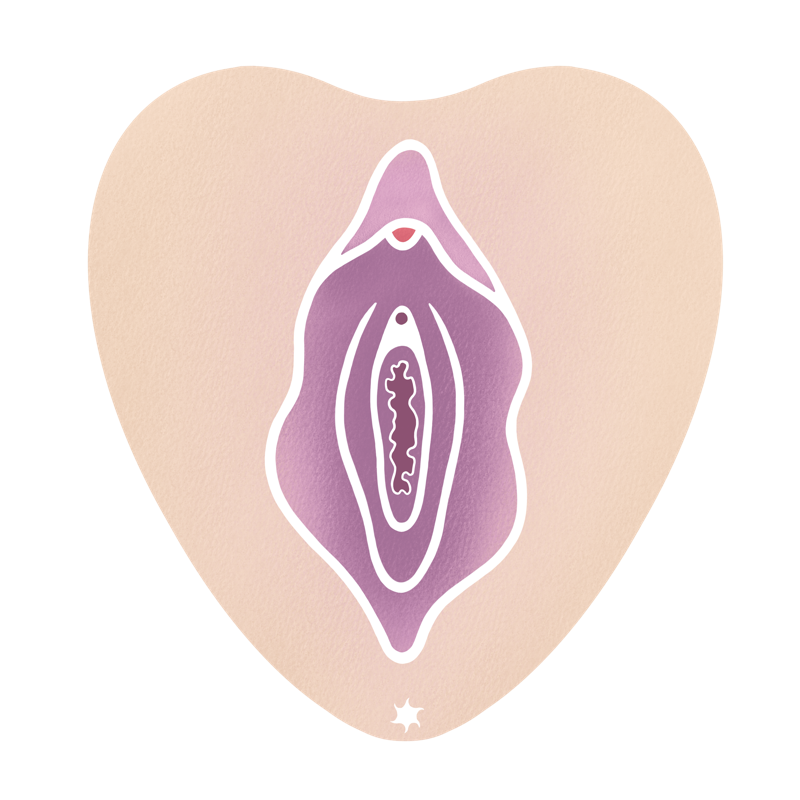 Ansicht einer Vulva in heller Hautfarbe und rosafarbenen Vulvalippen. Die Vulvalippen sind geöffnet, sodass das Hymen und die Eingänge zu Vagina und Harnröhre erkennbar sind.