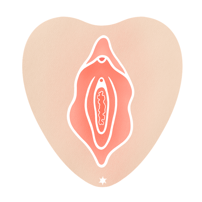 Ansicht einer Vulva in heller Hautfarbe und rosafarbenen Vulvalippen. Die Vulvalippen sind geöffnet, sodass das Hymen und die Eingänge zu Vagina und Harnröhre erkennbar sind.