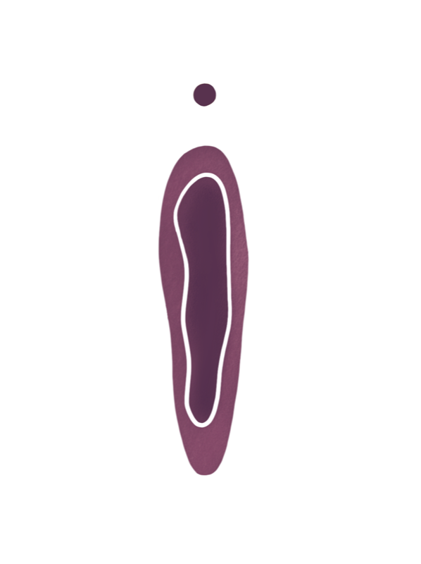 intaktes Hymen Illustration
